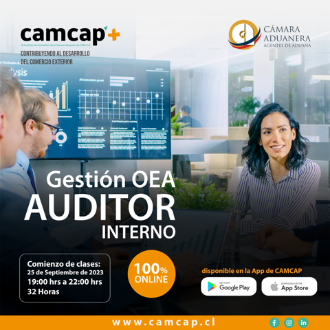 Gestión OEA/Auditor Interno