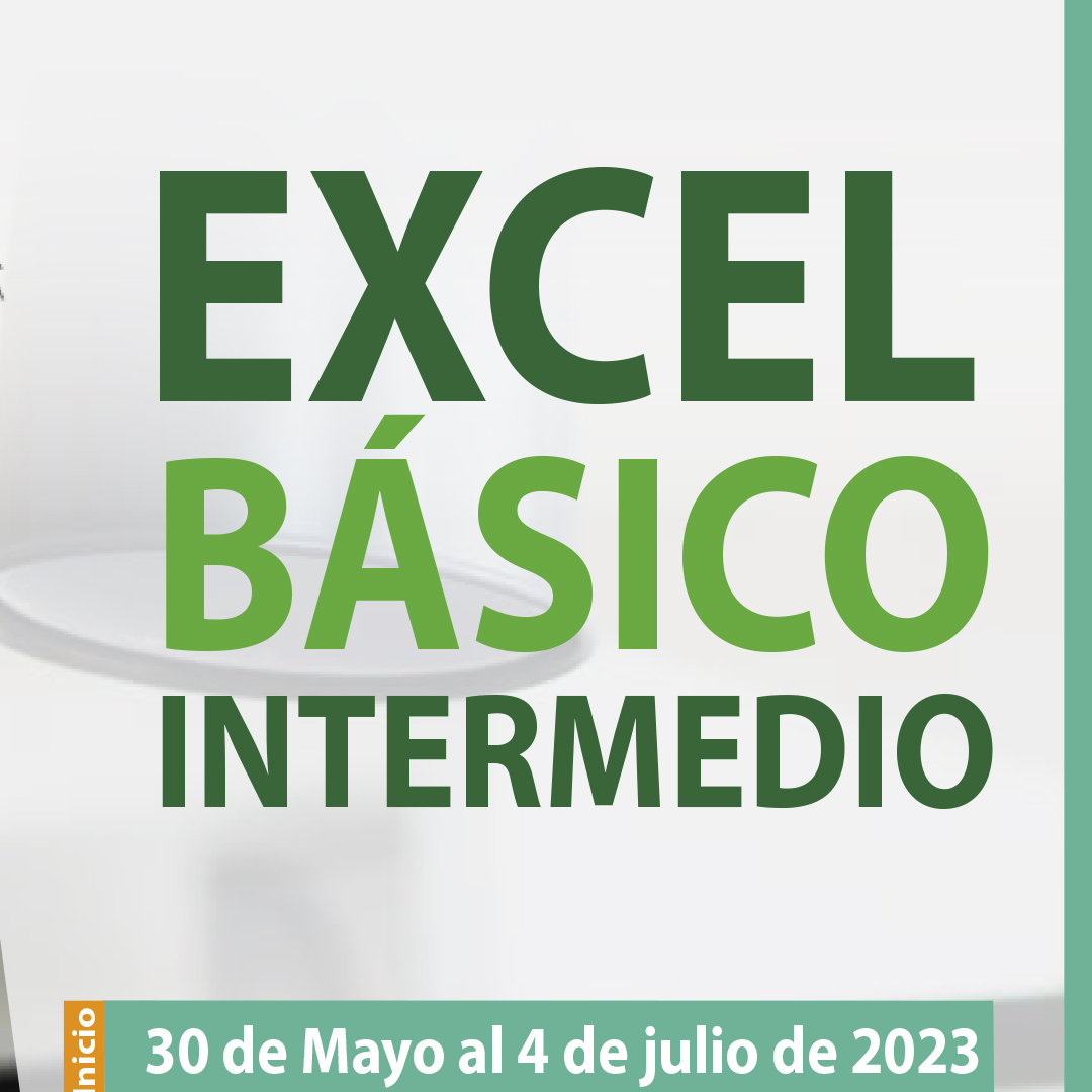 Curso Microsoft Excel Básico Intermedio